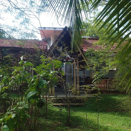 Home In The Island Tangalle Buitenkant foto