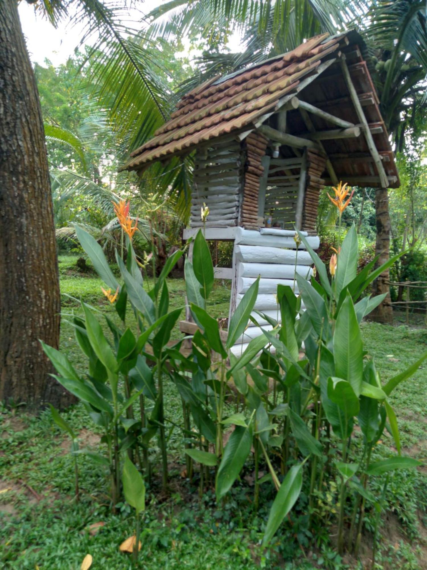 Home In The Island Tangalle Buitenkant foto