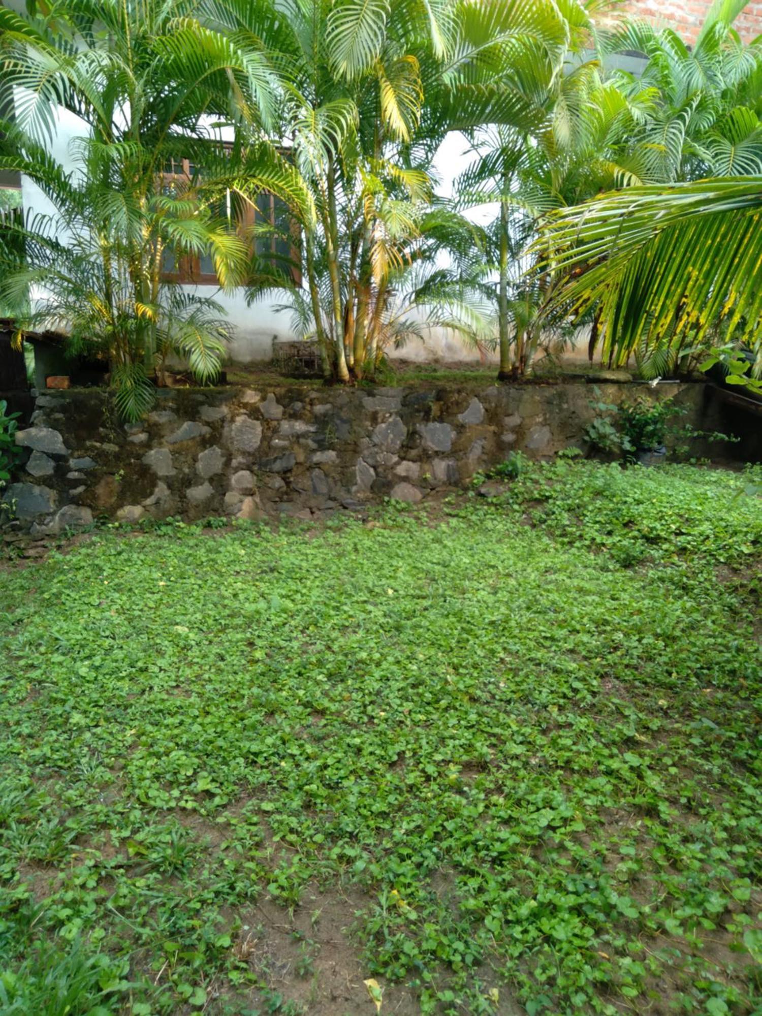 Home In The Island Tangalle Buitenkant foto