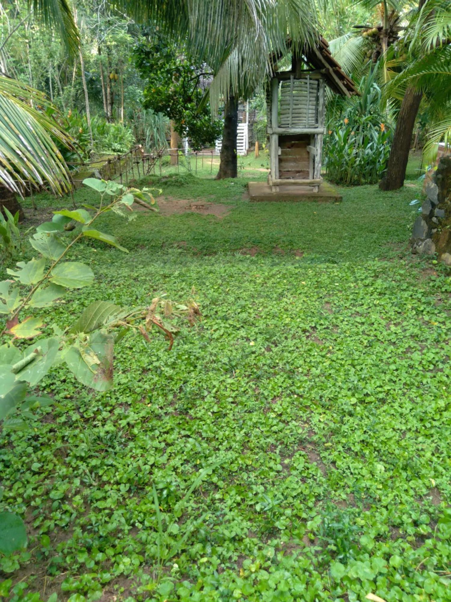 Home In The Island Tangalle Buitenkant foto