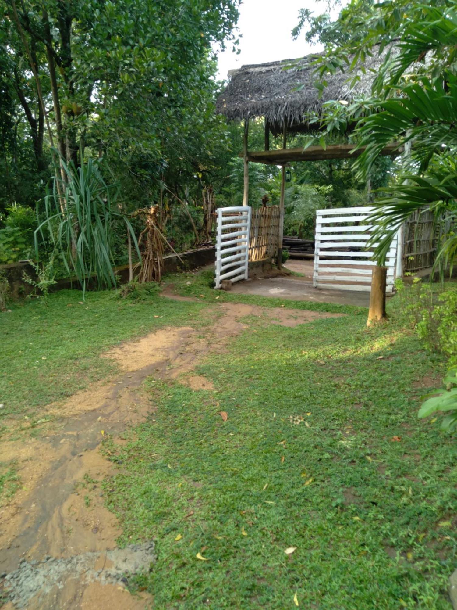 Home In The Island Tangalle Buitenkant foto