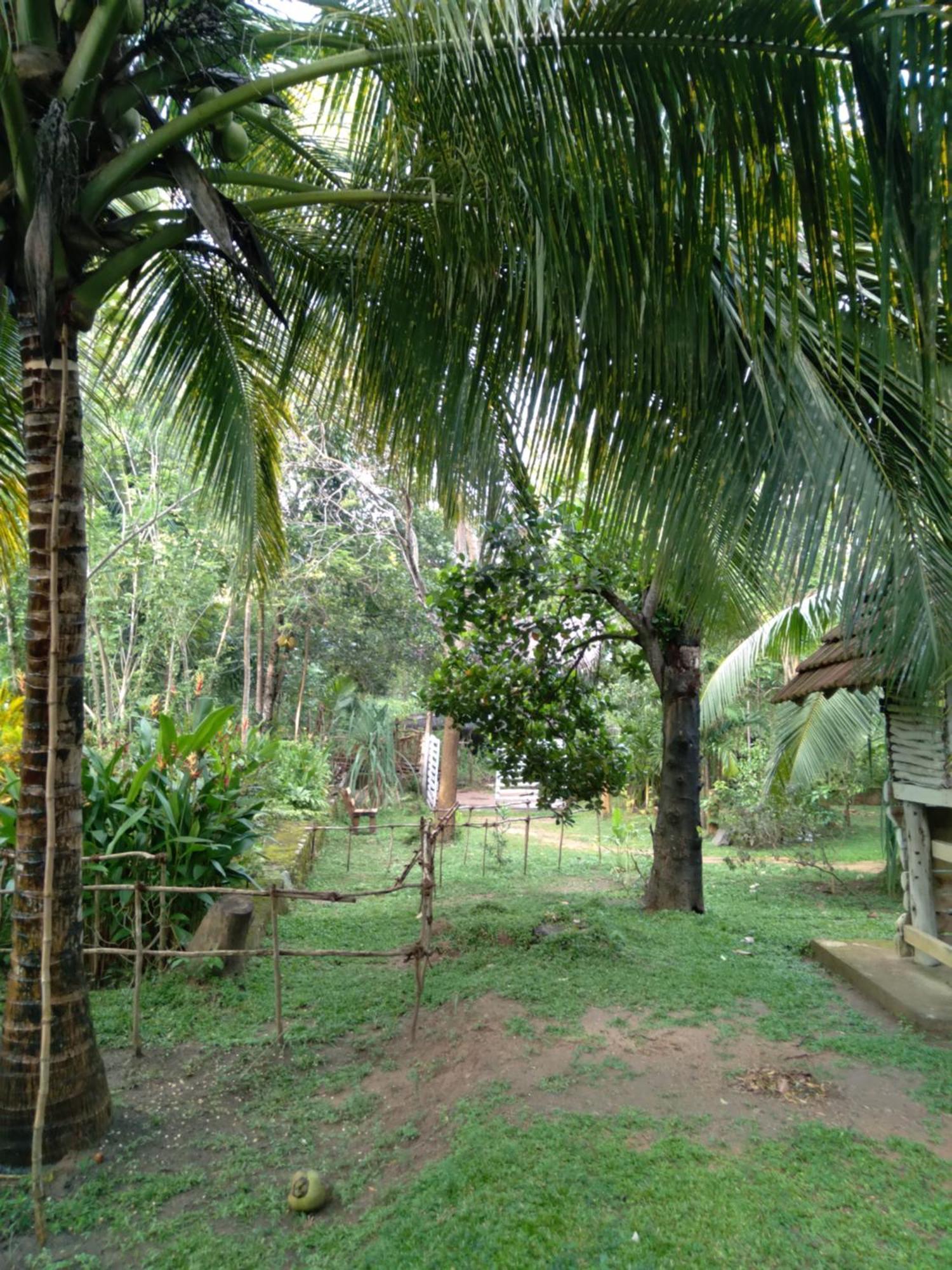 Home In The Island Tangalle Buitenkant foto