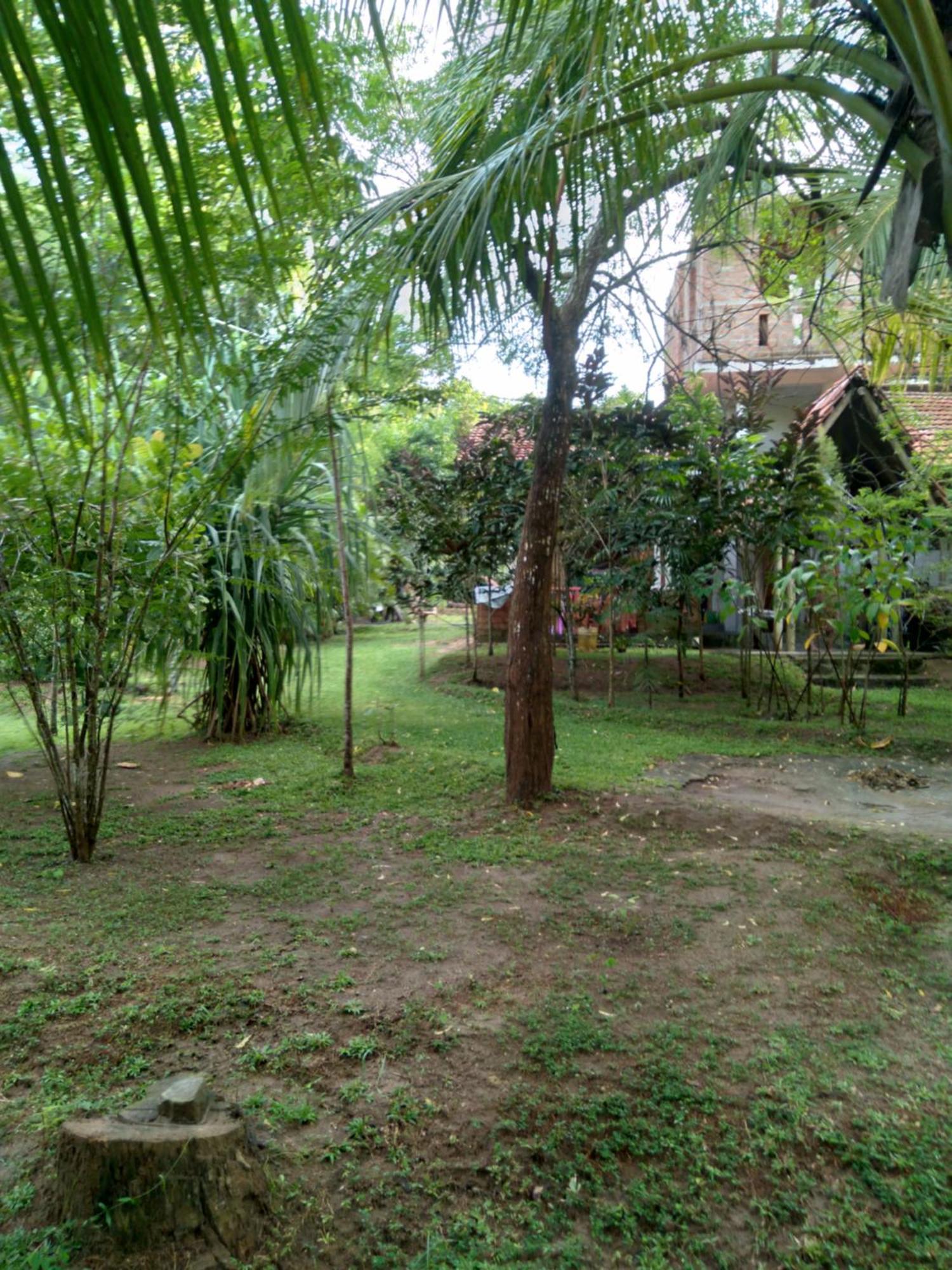 Home In The Island Tangalle Buitenkant foto