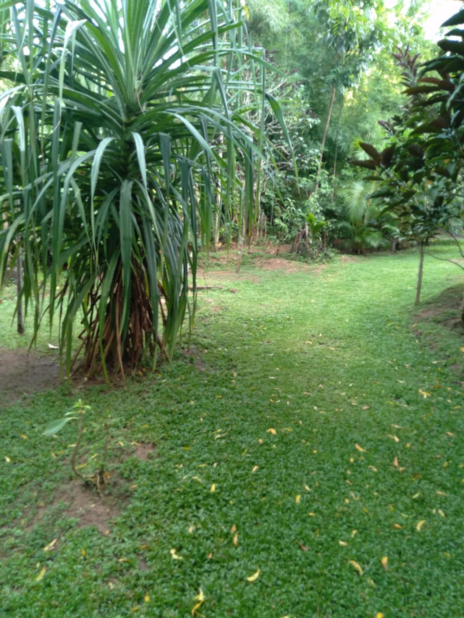 Home In The Island Tangalle Buitenkant foto